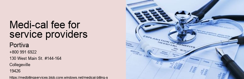 medi-cal fee for service providers